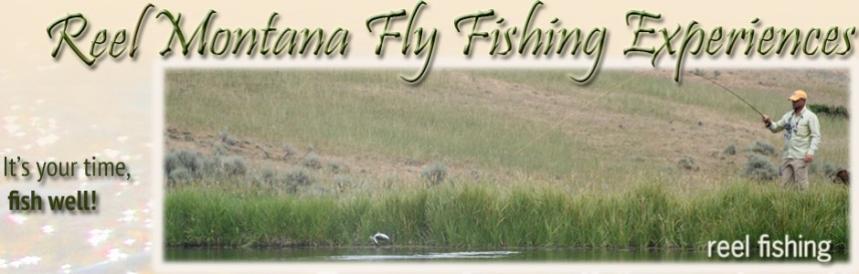 Reel Montana Fly Fishing Experiences